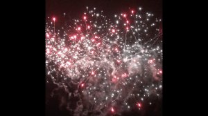 С 515 Blue tail blast red dahlia w white strobe (CH) 20 сек Тип-W 1.2”x49 2/1 2023 №328