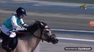 анонс канала конный мир