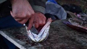 РАЗДЕЛКА РЫБЫ на Рыбалке - ЩУКА филе без костей ЖАРЕНАЯ на Костре на Сковороде с Луком