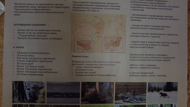 Подкаменная Тунгуска вдвоём  Часть 6  Божьи твари