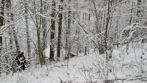 ЗЕМЛЯНКА в лесу лучшее убежище от непогоды | благоустройство внутри | бушкрафт |bushcraft.