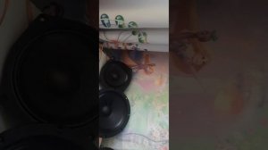 Динамики Faital Pro 6pr122 и 8fe200 от Audio System(Italy) as 4120