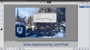 Photoshop Elements 2020 Tutorial Removing Color Casts Adobe Training