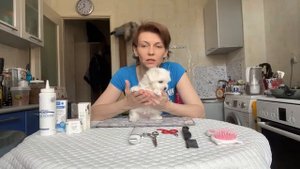 Уход за щенком мальтезе