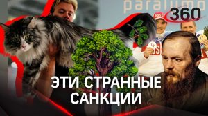 Какие санкции, у меня лапки: как Запад дубу дал - уже запрещены российские деревья и котики