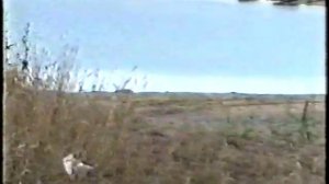 Съёмки для рекламы автомобилей производства ЗАО "Терминал", г. Гай Оренбургская область