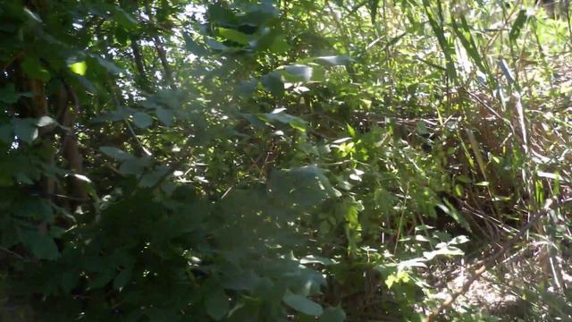 примитивная рыбалка с Хрокалом часть 3 смотреть онлайн