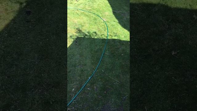 Curved flower border edge Part 1