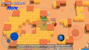 Приватный сервер brawl stars ссылки в описании