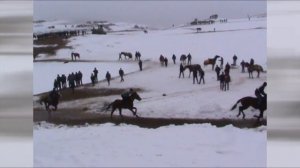 Конные скачки (Разное)