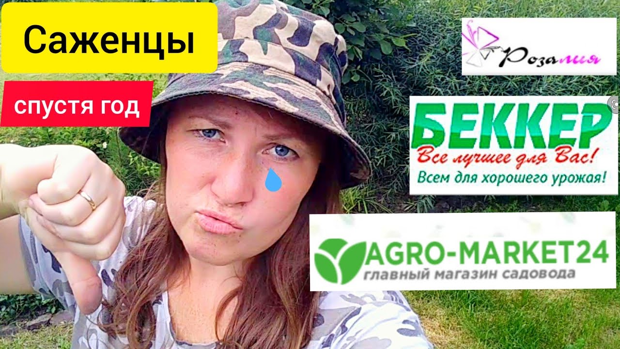 ⚫Как перезимовали саженцы Агромаркет | Беккер отзывы | Где купить саженцы | Саженцы через интернет