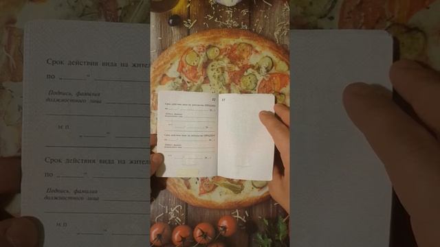 Как выглядит ВИД НА ЖИТЕЛЬСТВО РФ смотреть онлайн