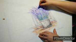 Лаванда пастелью