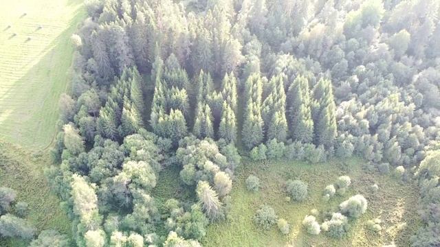 Вологодская область. Вытегорский район