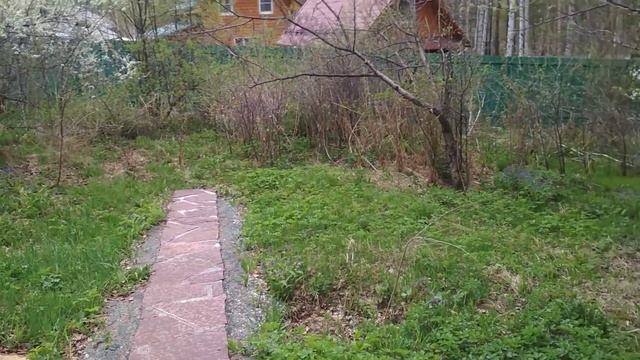 Отзыв: мощение дорожки - плитняк лемезит