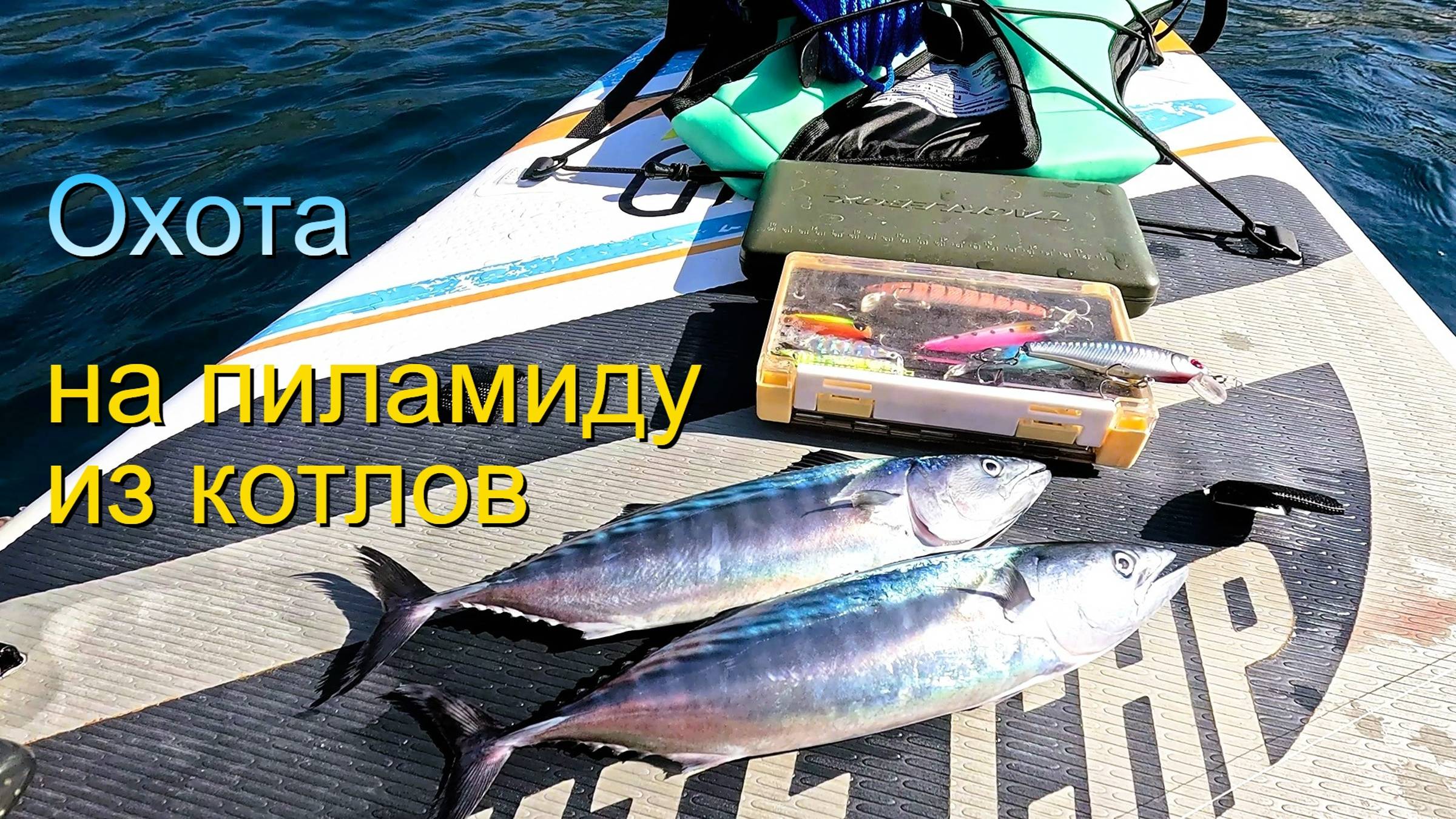 Погоня за пеламидой на САПе. Рыбалка на пилькеры и воблеры. Ласпи, август 2024г