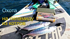 Погоня за пеламидой на САПе. Рыбалка на пилькеры и воблеры. Ласпи, август 2024г