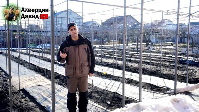 План работ на винограднике в марте смотреть онлайн