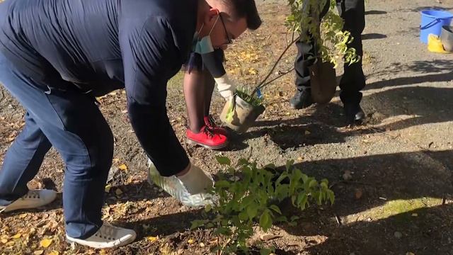 Обращение руководителя Нижнетагильского штаба "Справедливой России" к тагильчанам по итогам выборов смотреть онлайн