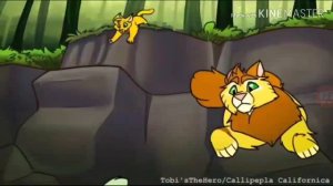 Коты-воители клип: Бич и Огнезвёзд- Здавайся
