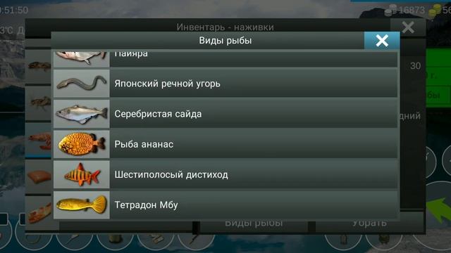 46) My Fishing World Серебристая сайда без прилова!?
