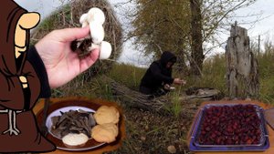 Что собрал, то и поел! Попёрли грибы! Шампиньоны, Вешенки ну и Шиповник тоже есть