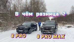 Самые главные отличия CHERY TIGGO 8 PRO от CHERRY TIGGO 8 PRO MAX , за 2 минуты !!!