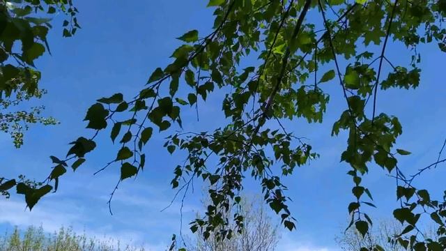 26 мая-народный праздник ЛУКЕРЬЯ КОМАРНИЦА.Как от 40 грехов избавиться.Приметы смотреть онлайн