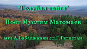 Голубая тайга