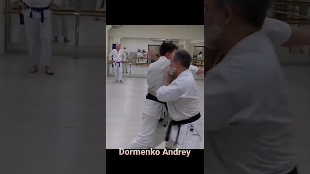 Dormenko Andrey sensei