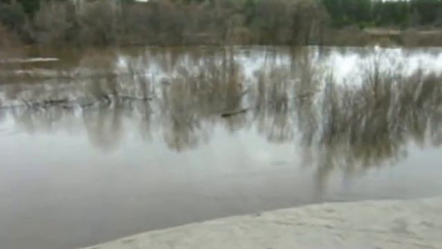 Киржач у Горьковского шоссе 2013-04-20 смотреть онлайн