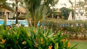 Тайланд. Отель "Botany Beach Resort"