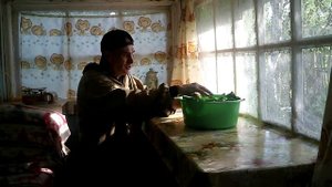 Делаем сок из подорожника