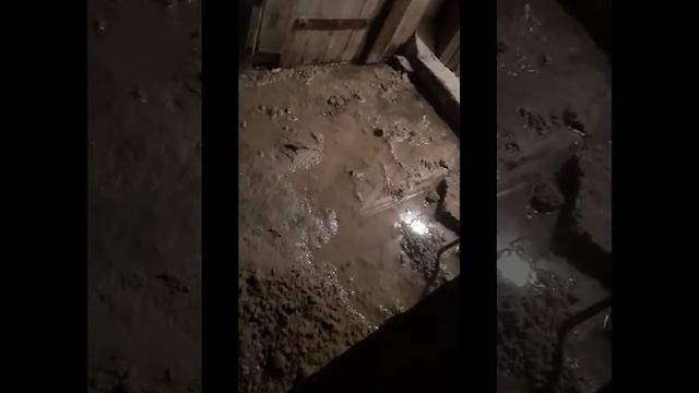 Затопленный подвал в Разумном Белгородского района