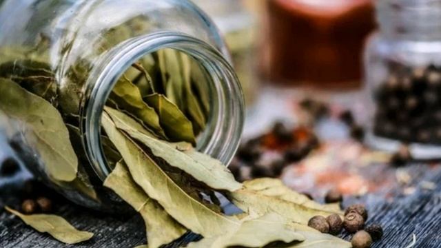 Для чего огородники сжигают лавровый лист в теплице?