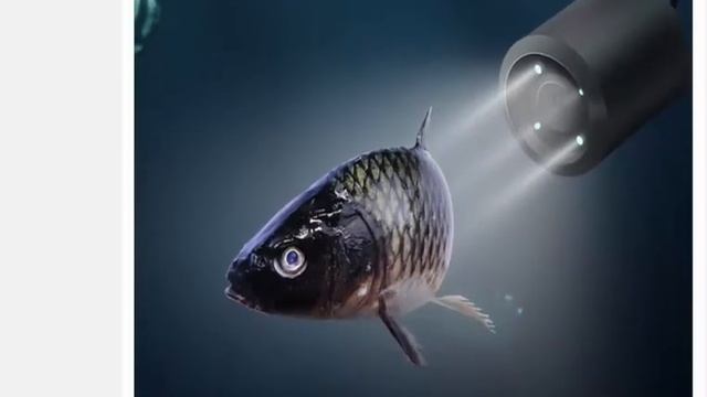 LUCKY портативная камера для подводной рыбалки Камера ночного видения 4,3 дюйма