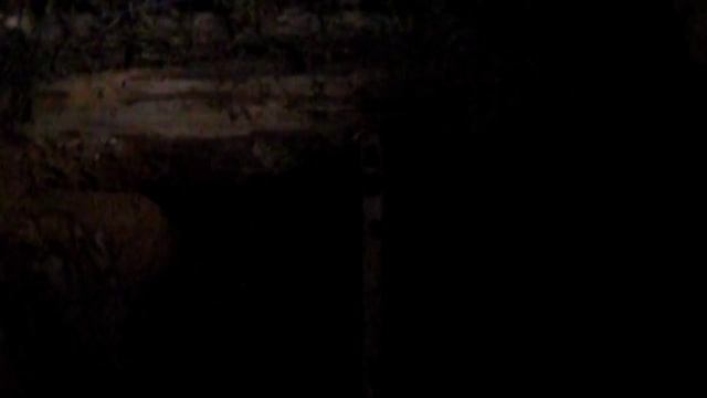 Ушел Жить Один в Лесную Избушку. Ночую в -25! Жизнь в Лесной Хижине.