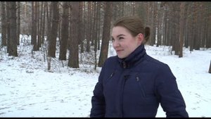 Как не потеряться в лесу: в День леса