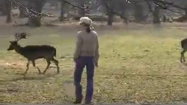 Favoritepark Ludwgsburg, Елени , Германия смотреть онлайн