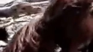 Русалка на берегу каспия-ЭТО ПОЛНЫЙ БРЕД.