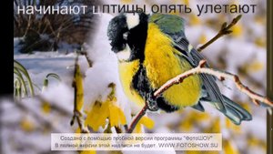 весна замечательное время года