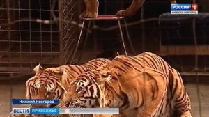 Нижегородский цирк получит имя народной артистки РСФСР Маргариты Назаровой