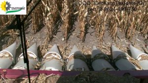 Жатка для уборки кукурузы Корнмастер-8 с комбайном Дон -1500