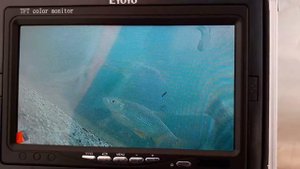 Рыба не клюёт))) Подводная камера. Рузское водохранилище, д. Фролково