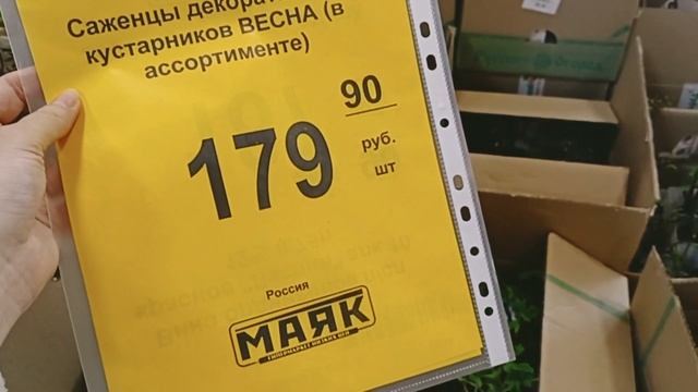 ?СВЕТОФОР (МАЯК)?НОВИНКИ СРАЖАЮТ НАПОВАЛ?МЕБЕЛЬ,ТОВАРЫ ДЛЯ ДОМА, БЫТОВАЯ ХИМИЯ⚡
