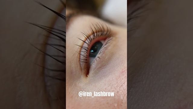 Яркий эффект от ламинирования ресниц ? #ресницы #таганрог#ламинирование#ламинированиересниц смотреть онлайн