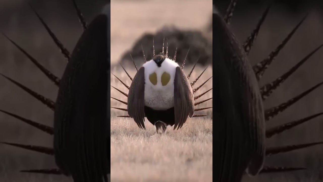 Первый контакт с пришельцами смотреть онлайн