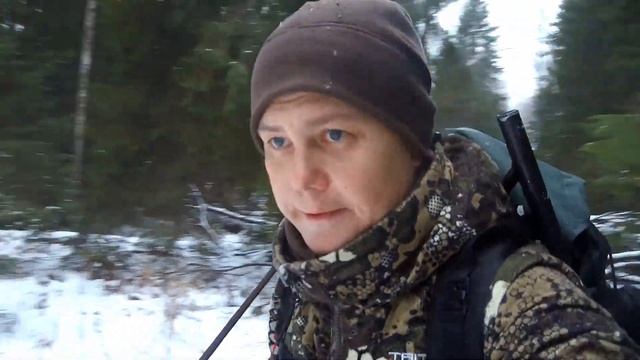 Охота с лайкой на пушнину (хорь, куница, белка) смотреть онлайн