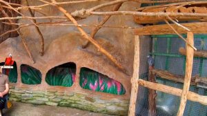 Геленджик 2021 / Контактный зоопарк и экзотариум "Зов Джунглей", возле канатной дороги "Олимп" (ч.3