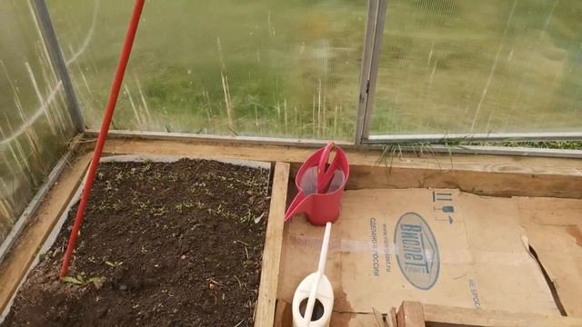 Дачные будни 5 мая 2023 г. Замерзаем. Обзор теплицы и огорода. смотреть онлайн